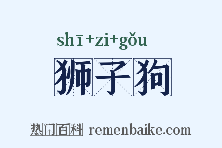 狮子狗是什么意思的图片